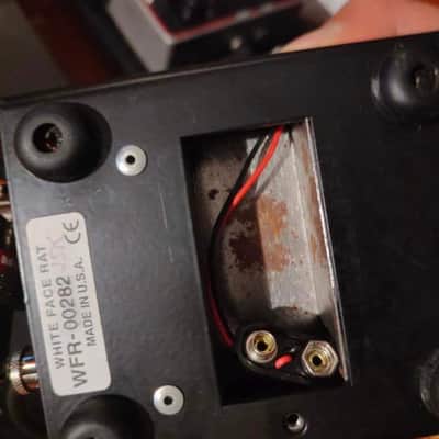 ProCo RAT Whiteface Reissue | Reverb