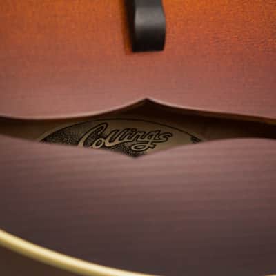 Collings MT Carved Top Mandolin (2014), ser. #A2919, original black hard shell case. image 13