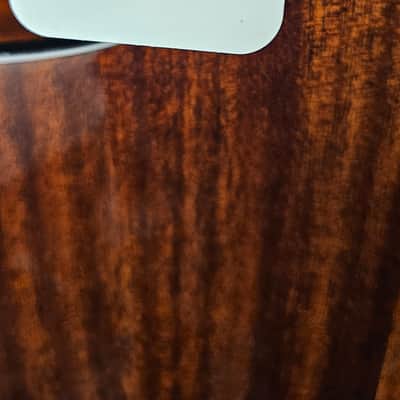 Breedlove ECO Discovery S Concert CE 12-string Acoustic-electric Guitar - Edgeburst - NEW image 12
