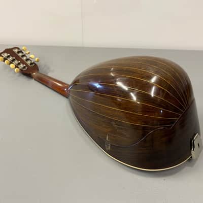 Washburn Bowl-Back Mandolin with Original Case, 1890s image 10