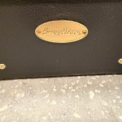 Breedlove Hard Shell Case image 2