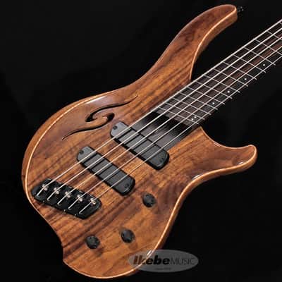 DINGWALL AfterBurner II 5st Fretless -Claro Walnut Top/Walnut Back/Wenge Neck- (Special Price) image 1