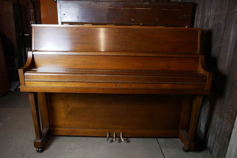 1981 Yamaha P202 image 1