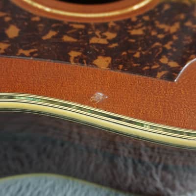 Morris MG-1100 Japan Dreadnought w/ Hard Case image 15