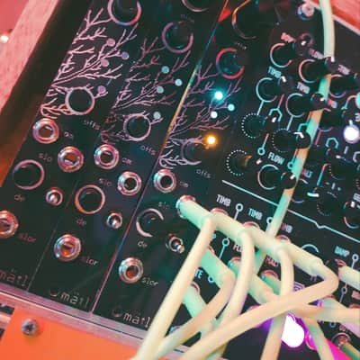 Bizarre  Jezabel Matl 2020 black/gold dual smooth random/ chaos / smooth noise image 1