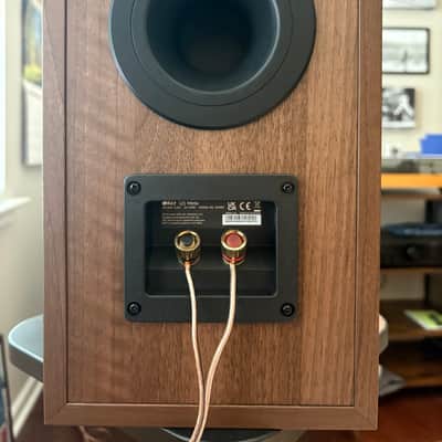 KEF Q1 Meta 2026 - Walnut image 3