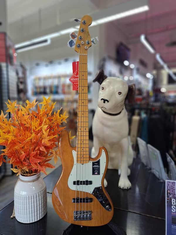 Fender American Professional II Jazz Bass V | Reverb