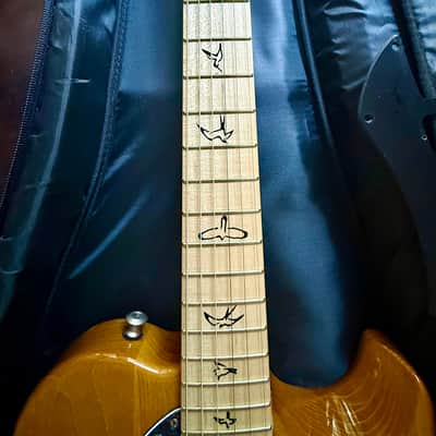 PRS Myles Kennedy Signature 2023 - Present - Antique Natural image 6