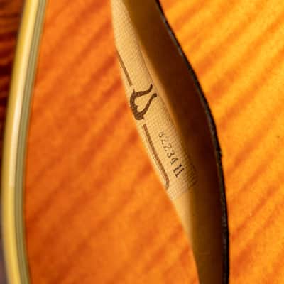 Daion H555 Headhunter HS (Honey Sunburst) HH-555 Semi-hollow electric image 21