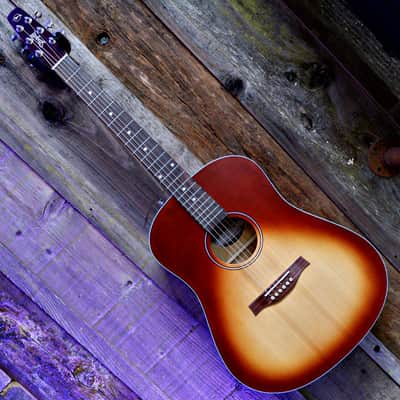 Seagull Entourage Dreadnought - Autumn Burst image 10