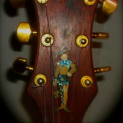 The Joker.THE Guitar! image 18