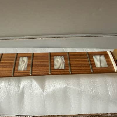 Fender Player Series Telecaster 22 Fret Neck Pao Ferro 2022 Maple Made in Mexico MIM W/ Nut image 1