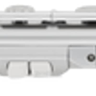 Roland Aerophone Brisa Digital Wind Instrument (AEBRISAd2) image 4