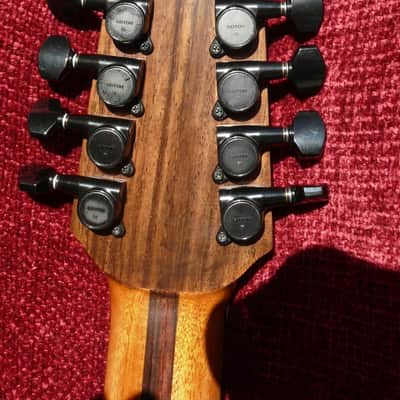 BLUEBERRY 12 String Cutaway   SATAN 2013 Natural image 4