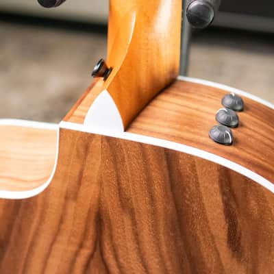 Taylor 214ce Grand Auditorium Acoustic/Electric Guitar with Gig Bag image 8