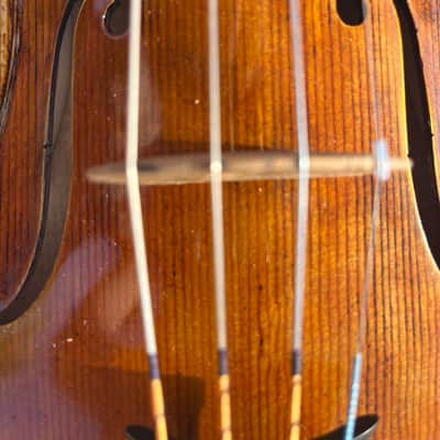 John Juzek Violinmaker in Prague Copy of a fine labeled 1925 image 4