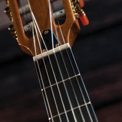 Washburn EACT42S | Festival Series Acoustic-Electric Classical Guitar. New with Full Warranty! image 12