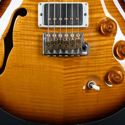 PRS DGT Semi-Hollow w/ Birds 10-Top McCarty Tobacco Sunburst #495 image 5