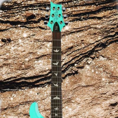 PRS S2 VELA 1 OF 1 - CUSTOM ORDER ! BIRD INLAYS ,SEA FOAM GREEN -PLEK'D image 3