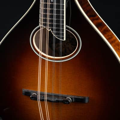 Collings MT2 O Adirondack Spruce and Flamed Maple 1-Piece Back Sunburst Mandolin NEW image 6