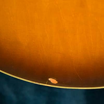 1979 Greco SW-1200 Vintage MIJ Jazz Guitar Sunburst w/ Hard Case image 8