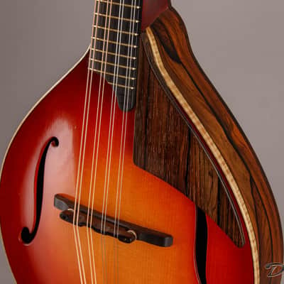 2014 Condino A style Mandolin, Brazilian Rosewood/Adirondack Spruce image 5