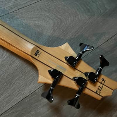 LTD ESP RB-1004 SM - Spalted Burled Maple - Aguilar image 10