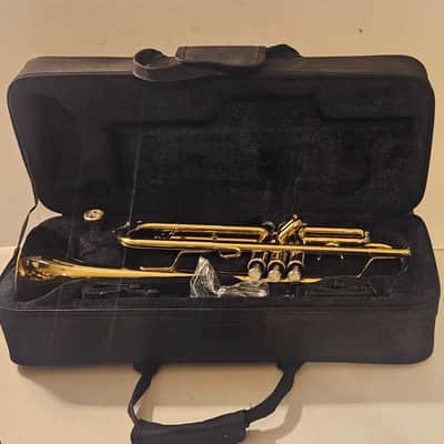 Mendini By Cecilio Bb Trumpet - Brass, Gold Trumpets w/Instrument Case, Cloth, Oil image 11