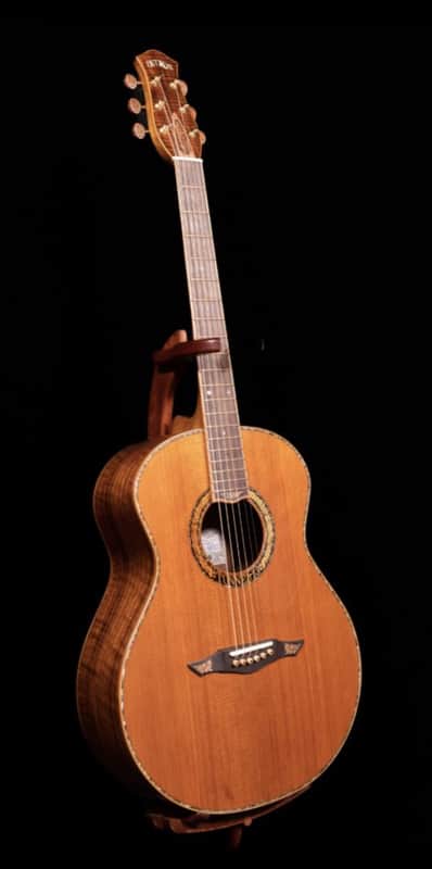 Petros Grand Concert - Claro Walnut/Tunnel 13 Redwood image 1