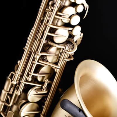 Selmer Paris 82SIGF Professional Alto Saxophone, Vintage Matte image 8