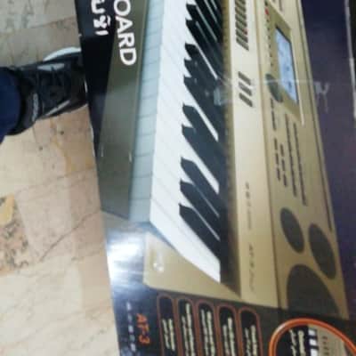 Casio AT3 61-Key Oriental/Middle Eastern Keyboard w/ Quarter Tone Tuning image 3