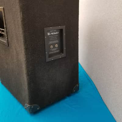 Peavey SP-5X 2-Way 15" Scorpion w/Horn 700 Watts PA Speaker Cabinet image 7