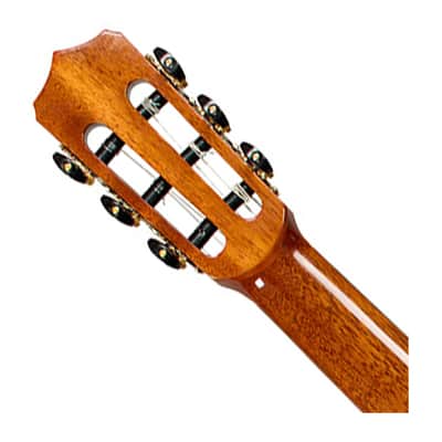 Cordoba Stage Artist Nylon-String Electric Guitar - Agave Burst image 5