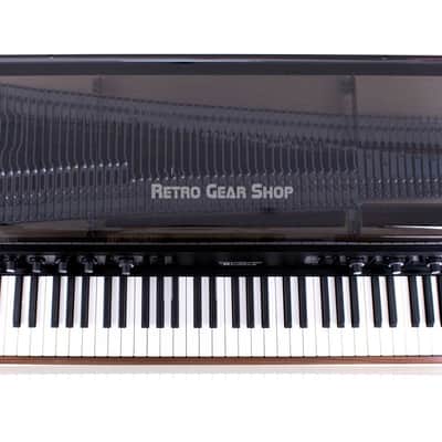 Rhodes MK8 Smoked Walnut Preamp + FX Panel + Midi Electric Piano Keyboard image 8