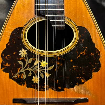 Bruno Bowlback Mandolin - Brazilian RW & Birds Eye Maple - Early 1900s - Great Player - All Org. - Case - Ships FREE!!! image 4