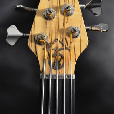 Alembic Custom CLB5 Fretless 5 String With LEDs image 6