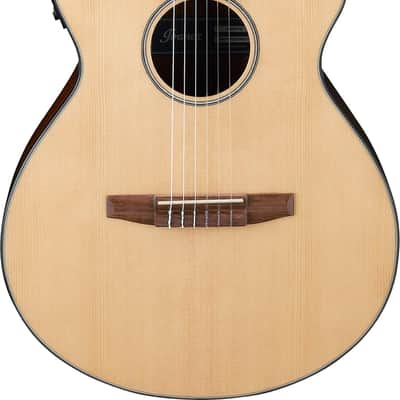 Ibanez AEG50N-NT AEG Nylon String Guitar 6-String - Natural image 1