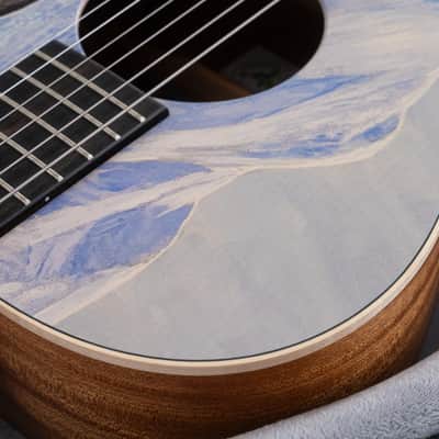 Martin 00L Biosphere IV Limited Edition Grand Concert Acoustic Guitar, Solid Spruce Top, Penguins image 11