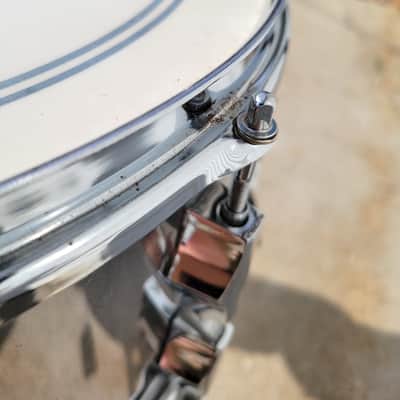Corder/Fibes 8x14 Maple Snare Drum W/ 20 Lugs - Chrome Over Wood (C013-1) image 8