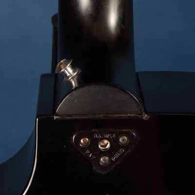 Babicz Identity Spider / 2003-ish / An Innovative Acoustic Electric Option image 9