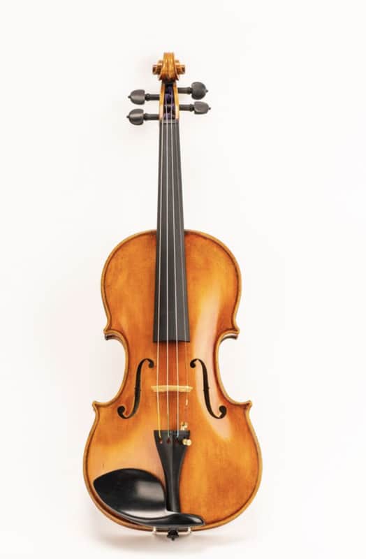 D Z Strad Model 800 Viola with BAM Case and 2 Bows: Incredible Sound, Unmatched Quality image 1