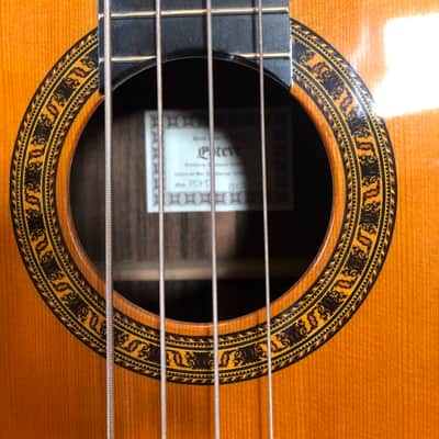Esteve Octave Bass Guitar (PS75) image 3