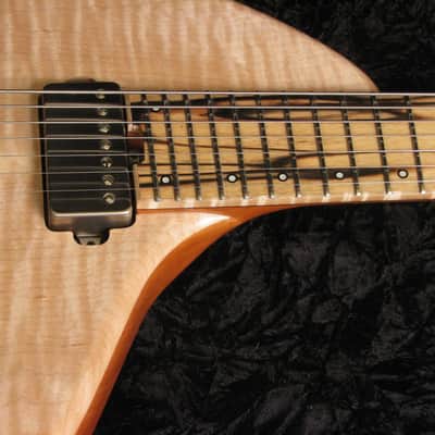 Forshage Semi Hollow 7 string Orion image 4