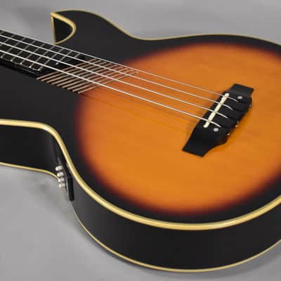 Washburn AB-20 Acoustic-Electric Hollowbody Bass Sunburst w/HSC image 8