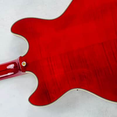 D'Angelico EX-DC Excel 2013 - Transparent Red image 14