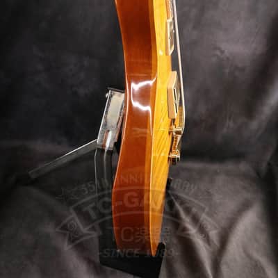 Gibson Les Paul Standard DC image 6