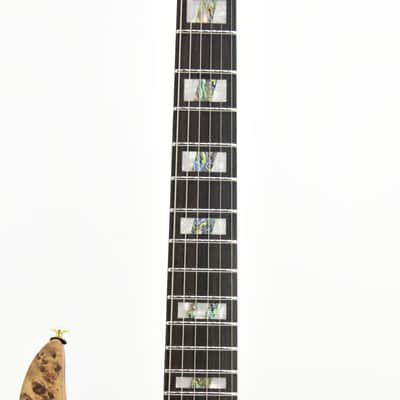 Ibanez	RGT1220PB Premium Electric guitar With gigbag 3359gr image 9