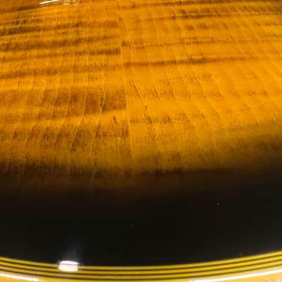 Firefly FFSP 2025 - Yellow Bat image 3