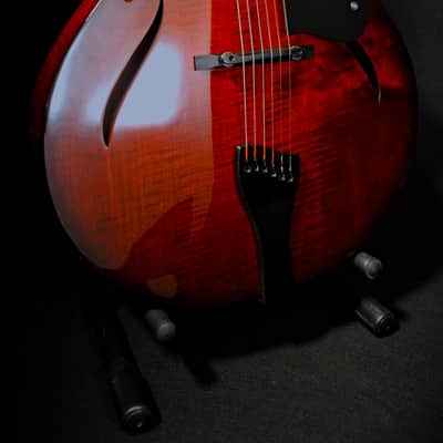 Fibertone 17RC 2026 - wine red image 6