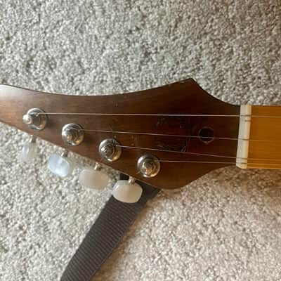 Applecreek Dulcimer - Gig  Bag, Strap, Capo, New Strings image 9